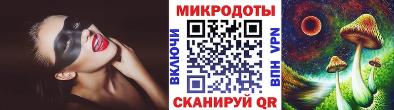 Купить где  Волжск  Галлюциногенные грибы Psilocybine cubensis 